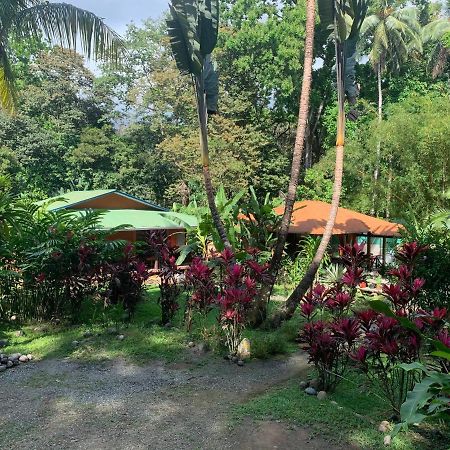 Cabinas Coco Lindo Ojochal Dış mekan fotoğraf