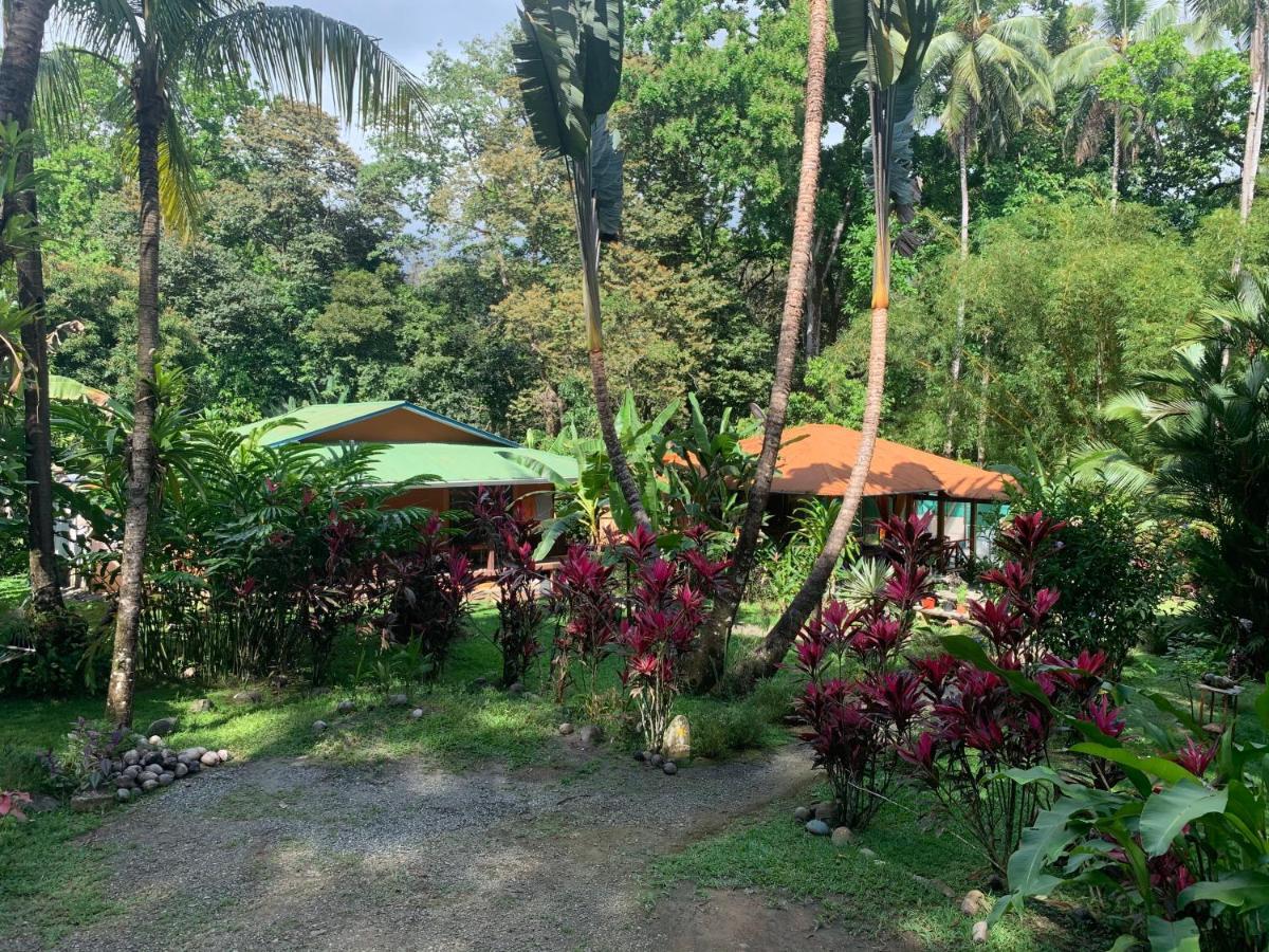 Cabinas Coco Lindo Ojochal Dış mekan fotoğraf