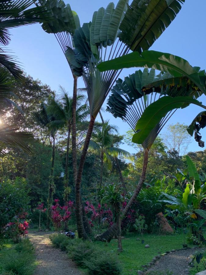 Cabinas Coco Lindo Ojochal Dış mekan fotoğraf